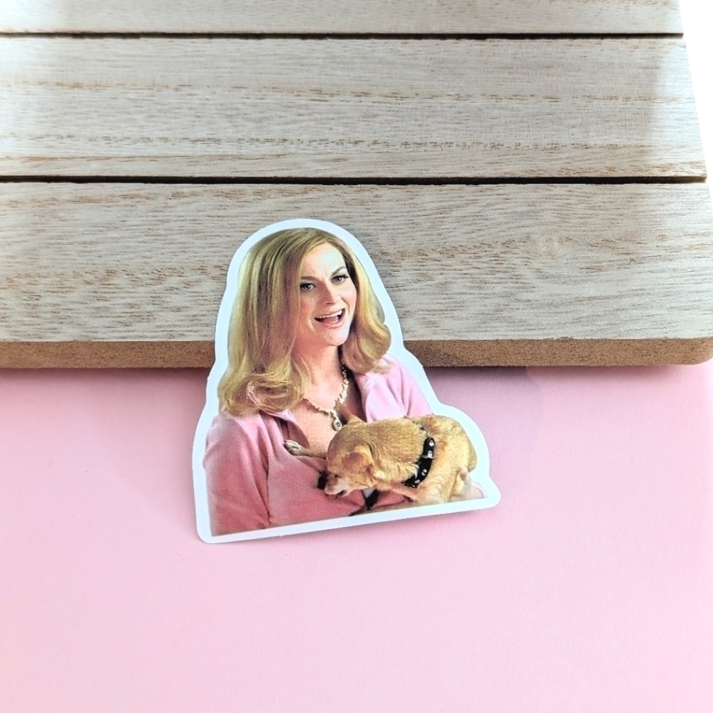 5 for $10 or 12 for $20 Mean Girls Stickers